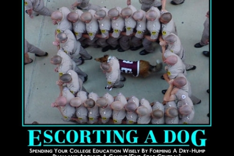 aggy_escorting_a_dog