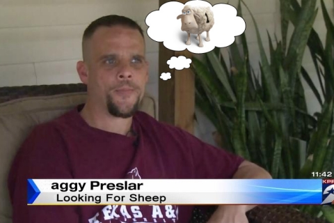 aggy_lookingforsheep