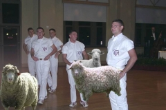 sheepsoiree