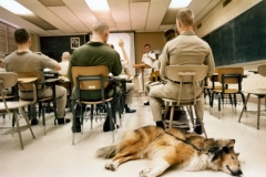 reveille_0
